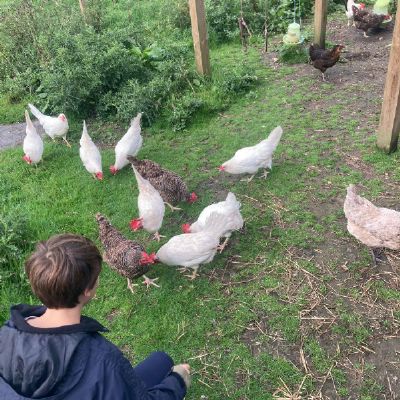 IMG-20240926-WA0031 (1).jpg